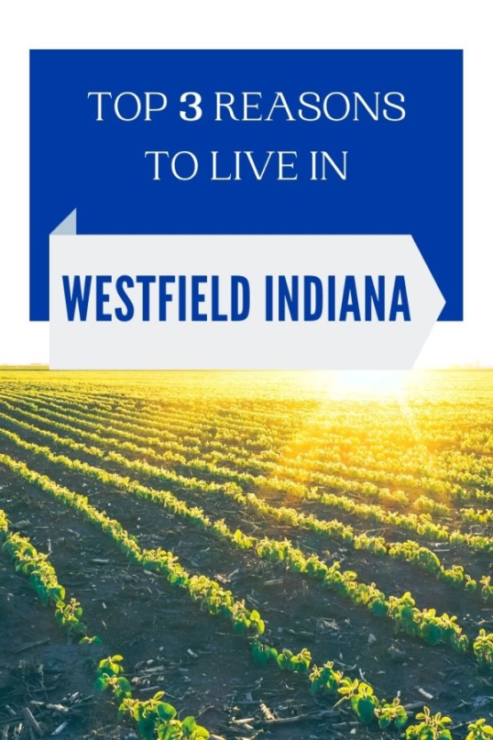 3 reasons to live in Westfield, Indiana (2)