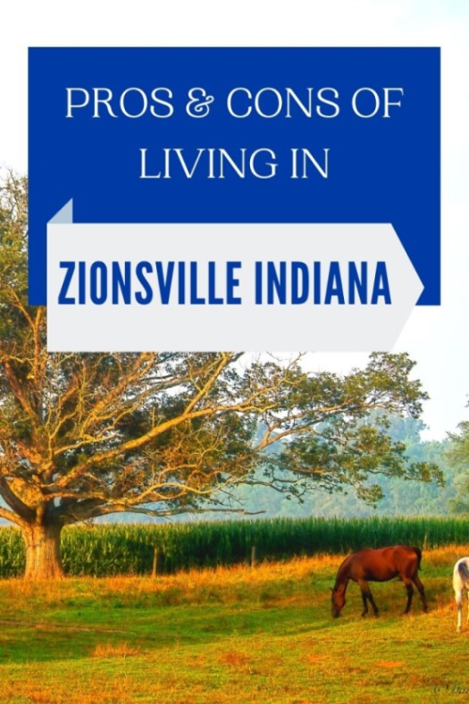 Pros & Cons of Living in Zionsville, Indiana (1)