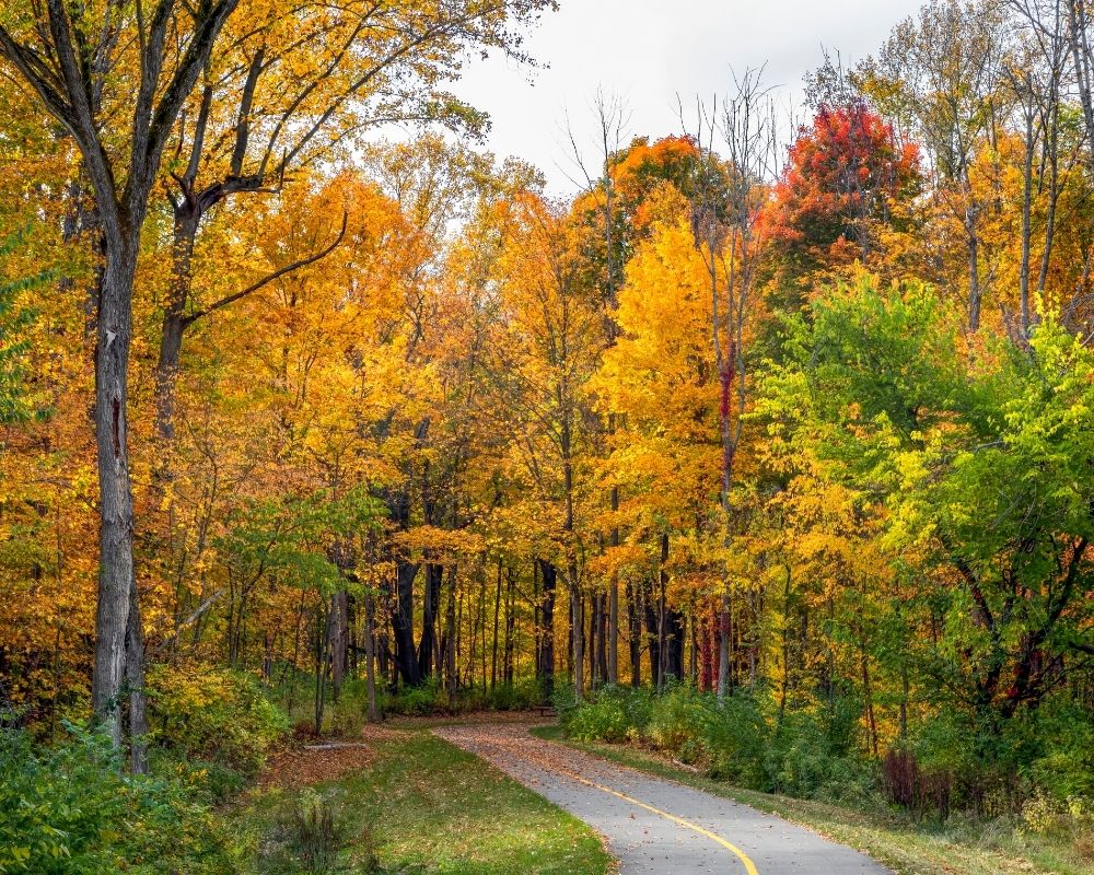 Eagle Creek Park in Indiana